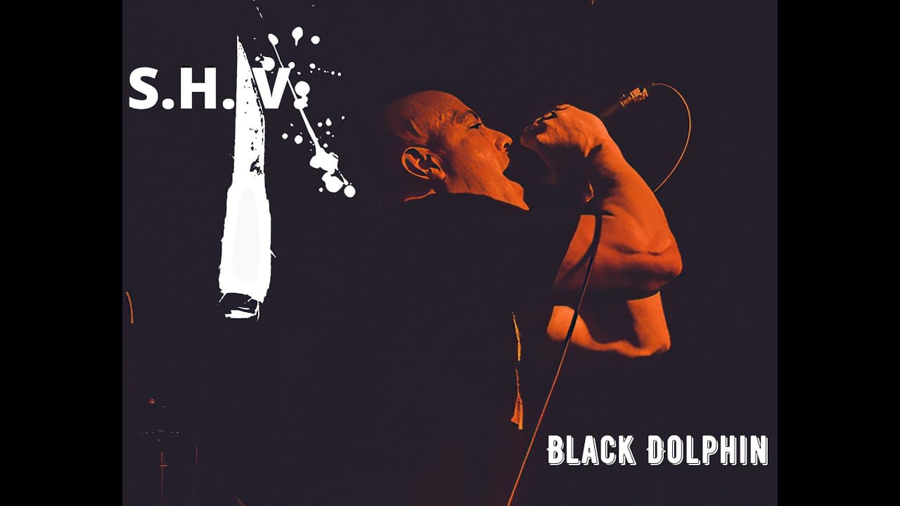 Black Dolphin